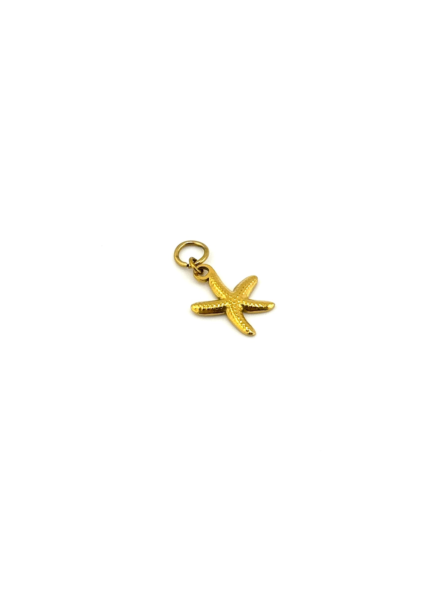 Orpheus Island Large Sea Star Charm