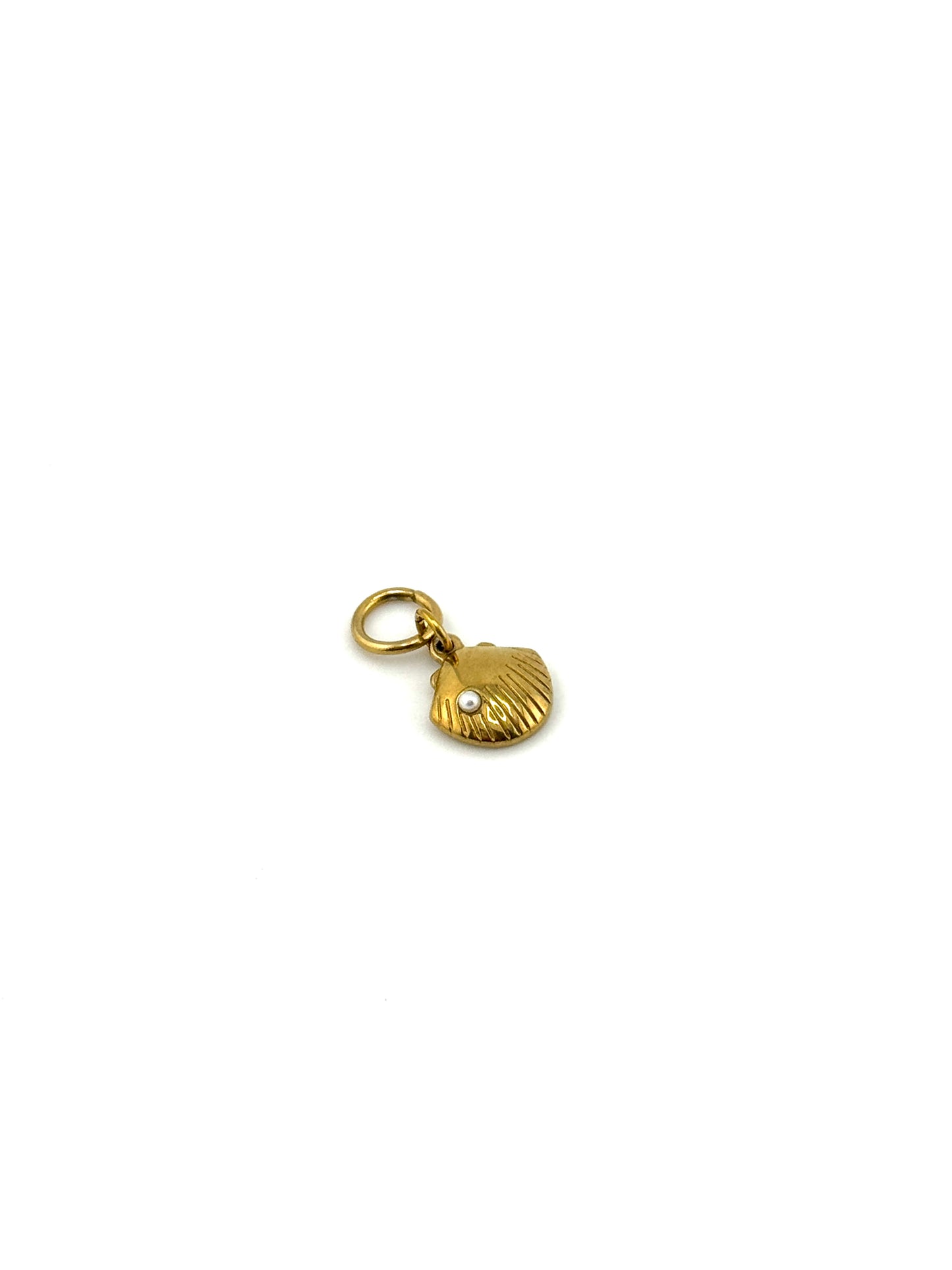 Coles Bay Clam Shell Charm