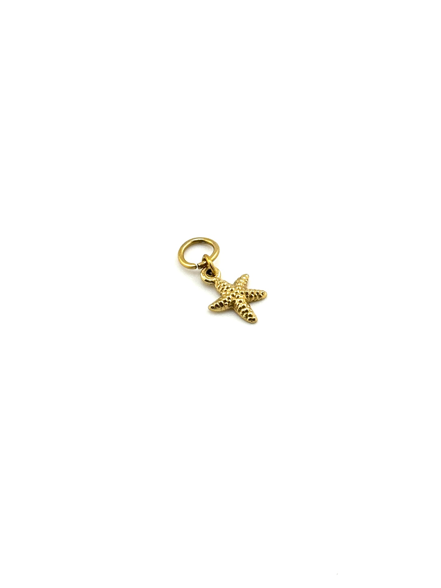 Orpheus Island Small Sea Star Charm