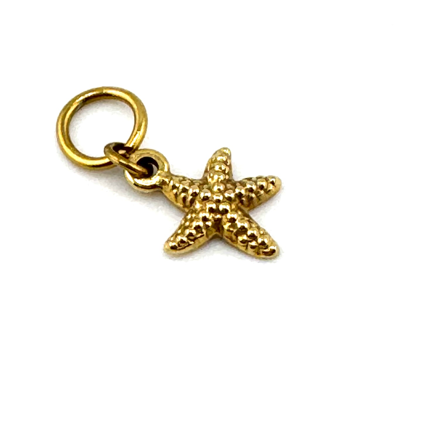 Orpheus Island Small Sea Star Charm