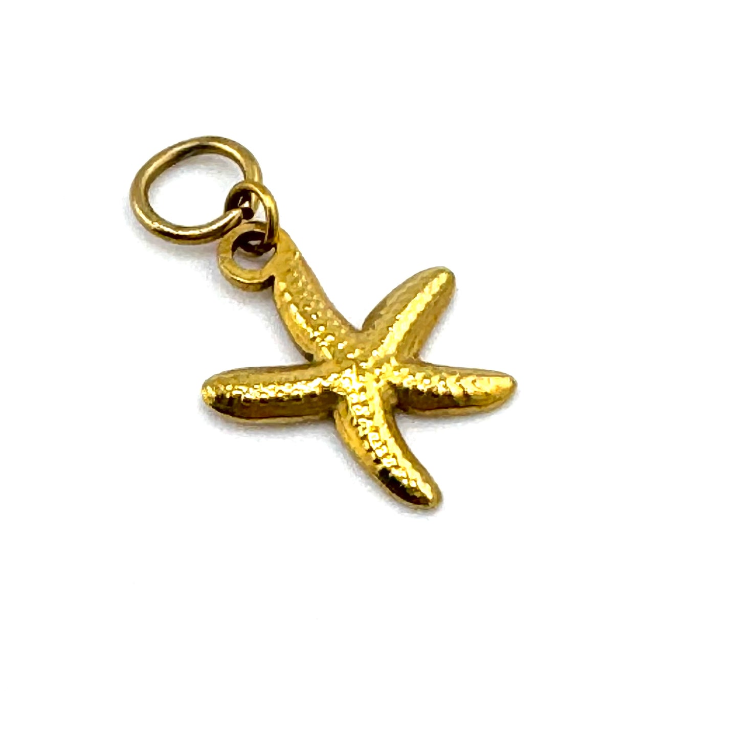 Orpheus Island Large Sea Star Charm