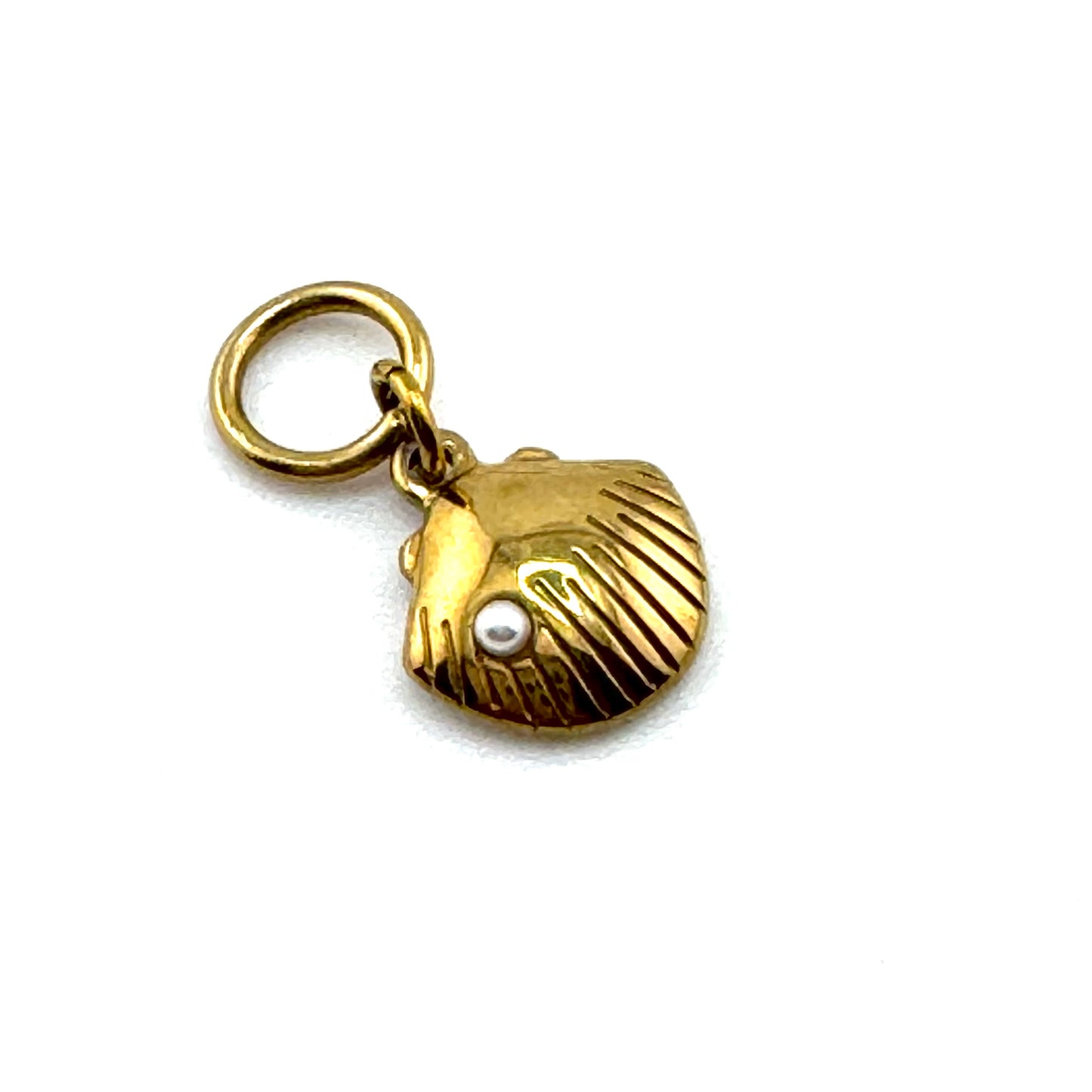 Coles Bay Clam Shell Charm