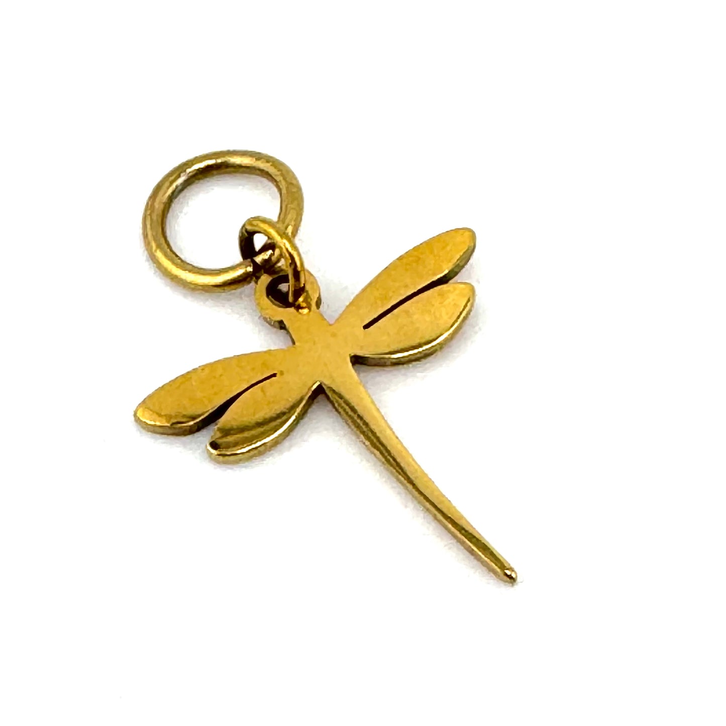 Lake Raponda Shining Dragonfly Charm