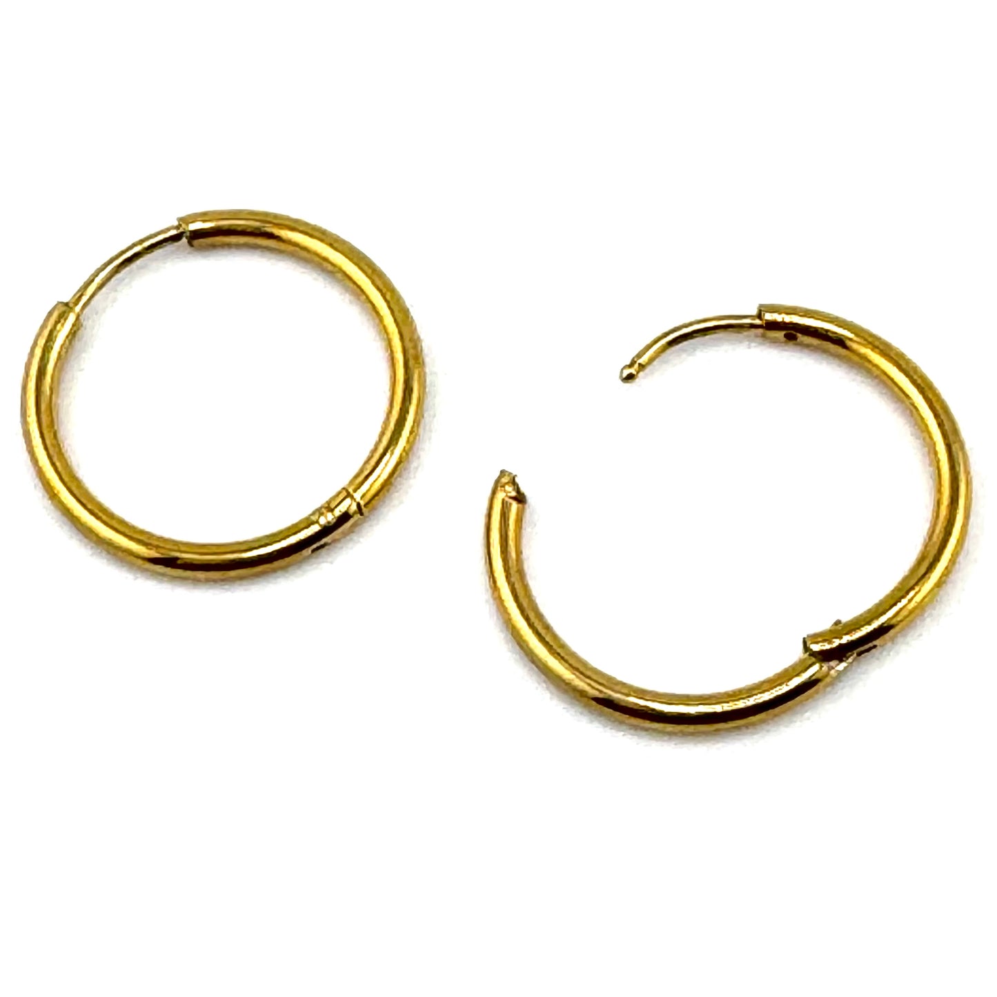 Day to Night Hoop Earrings