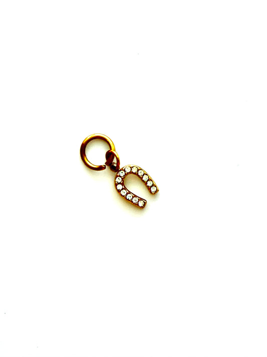 Mini Skye's Lucky Horseshoe charm